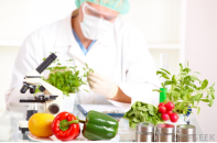Đội ngũ chuyên gia đầy kinh nghiệm